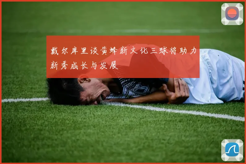 戴尔库里谈黄蜂新文化三球将助力新秀成长与发展